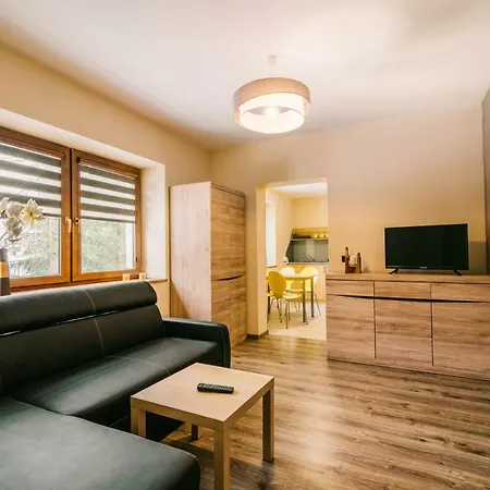 Lejlighed Pod Niedzwiedziem I Zakopane
